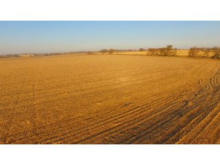 Property photo 43 - LAND AUCTION - 664+/- ACRES OFFERED IN 17 TRACTS IN CASS CO., NEBRASKA